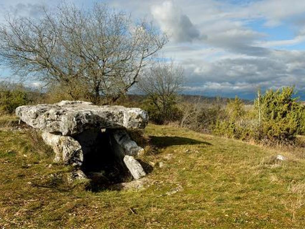 Les Dolmens St Cernin de Larche