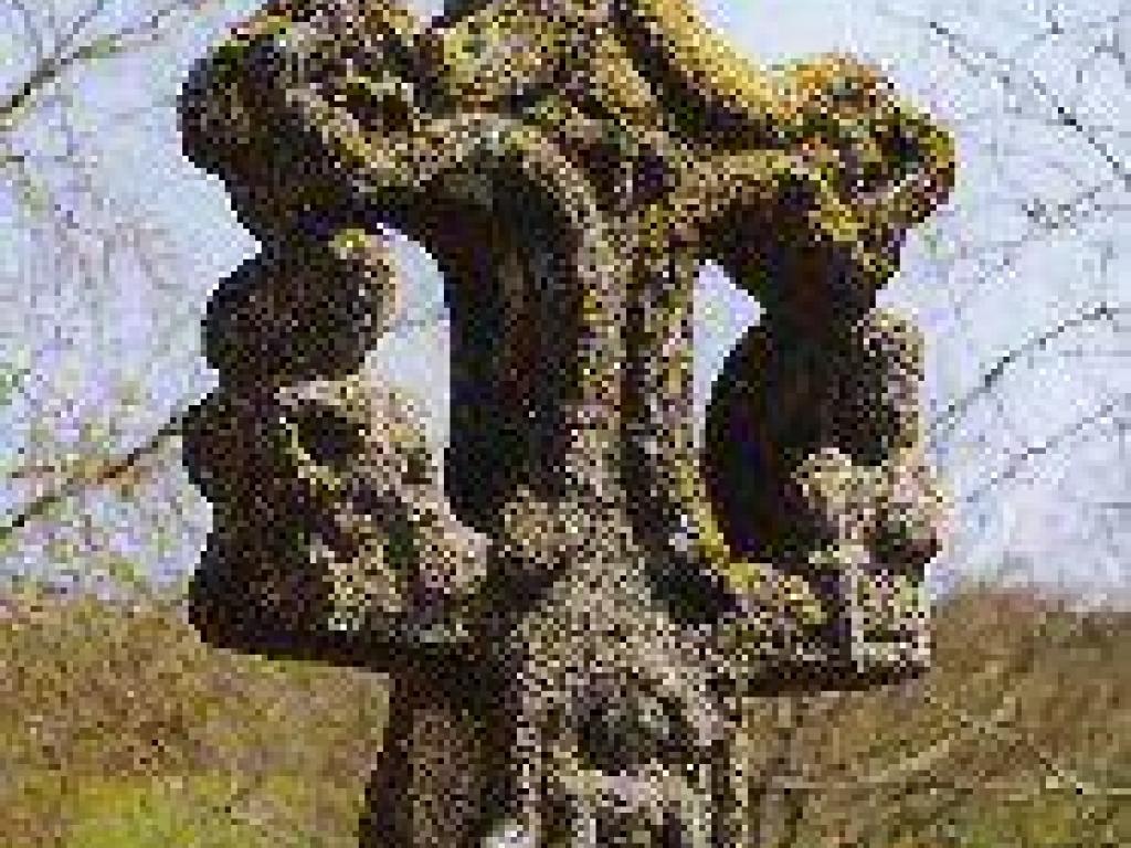 Croix