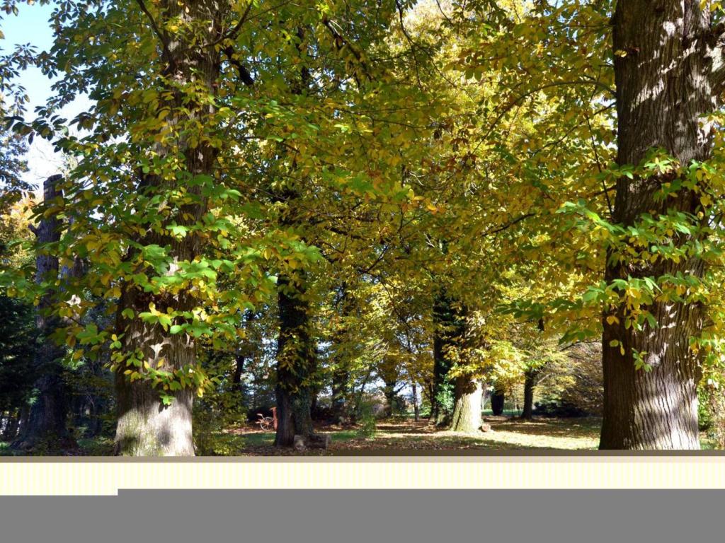 Arboretum Al Gaulhia