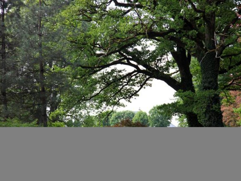 Arboretum du château de Neuvic d'Ussel