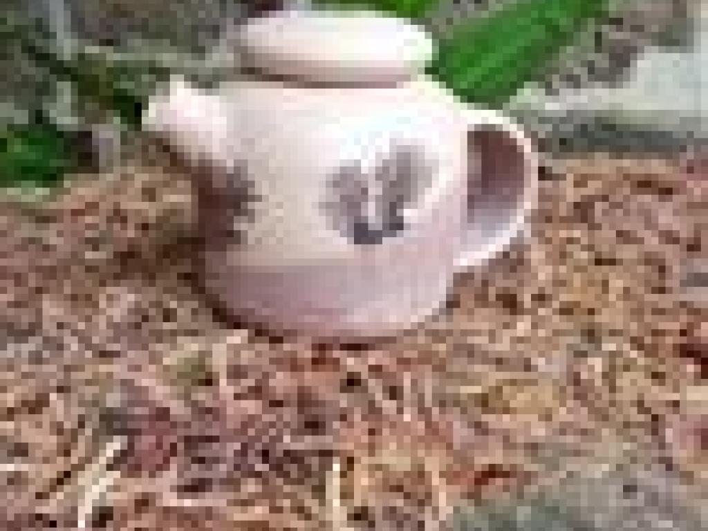 Poterie Chapelloise