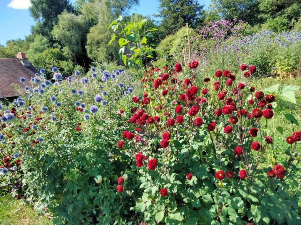 Jardin de Giulio