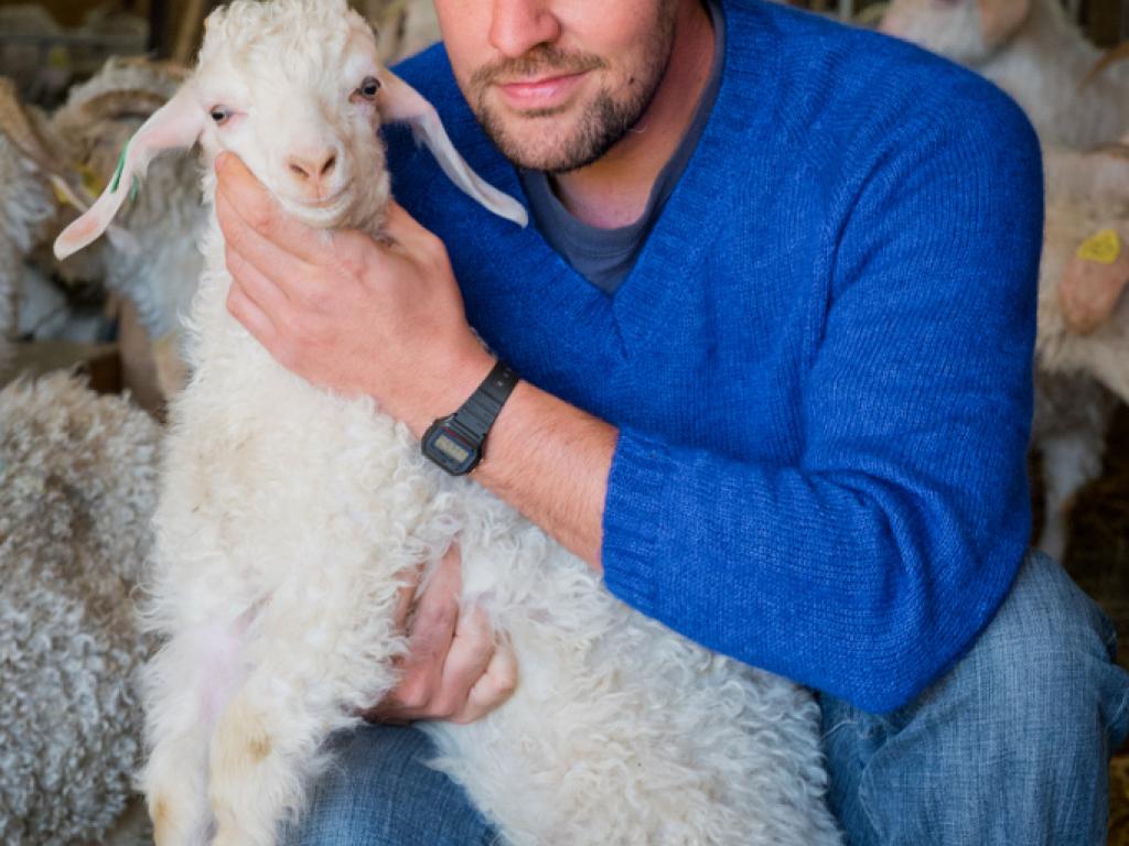 Mohair du Coteau