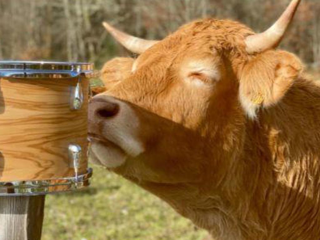 Lalite Drums