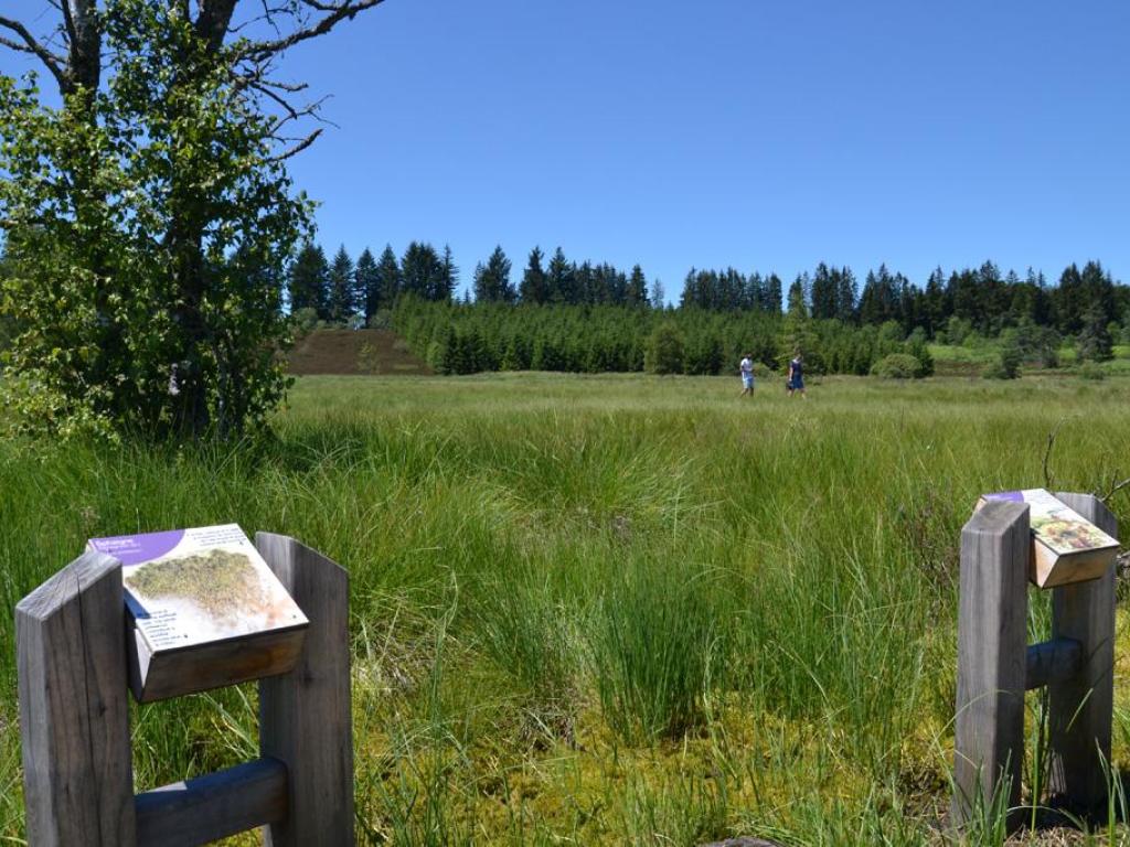 Le Parc naturel régional de Millevaches et ses 14 sites labellisés Natura 2000