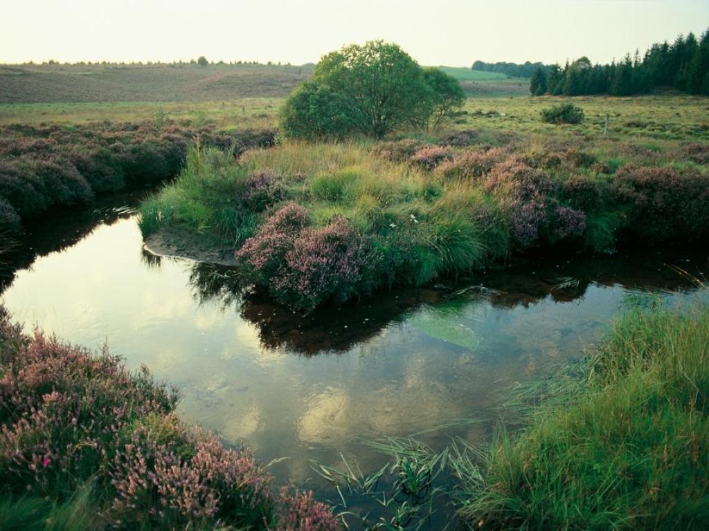 Le Parc naturel régional de Millevaches et ses 14 sites labellisés Natura 2000