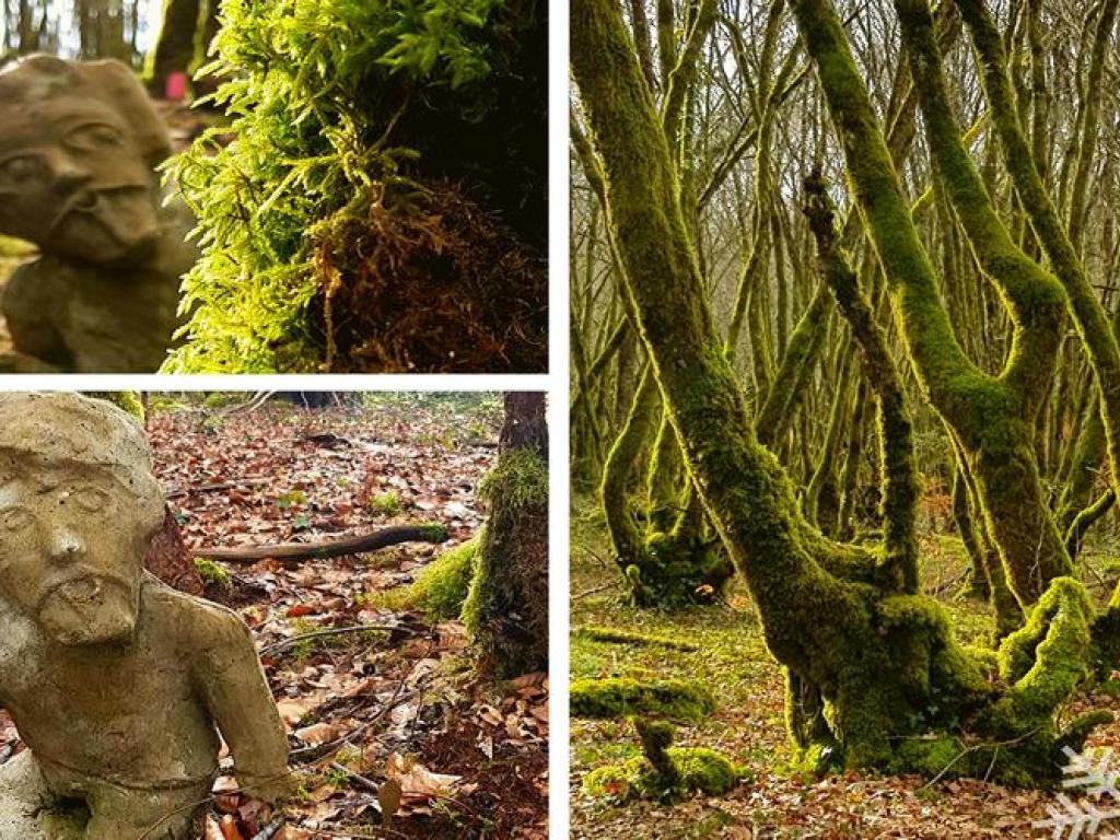 La forêt de Blanchefort