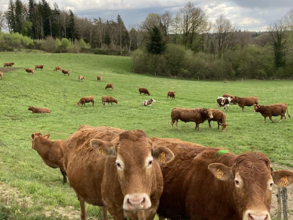 La Ferme de Theillet et la Ferme Auberge de Theillet
