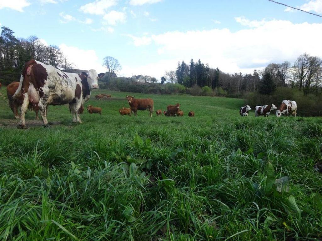 La Ferme de Theillet et la Ferme Auberge de Theillet