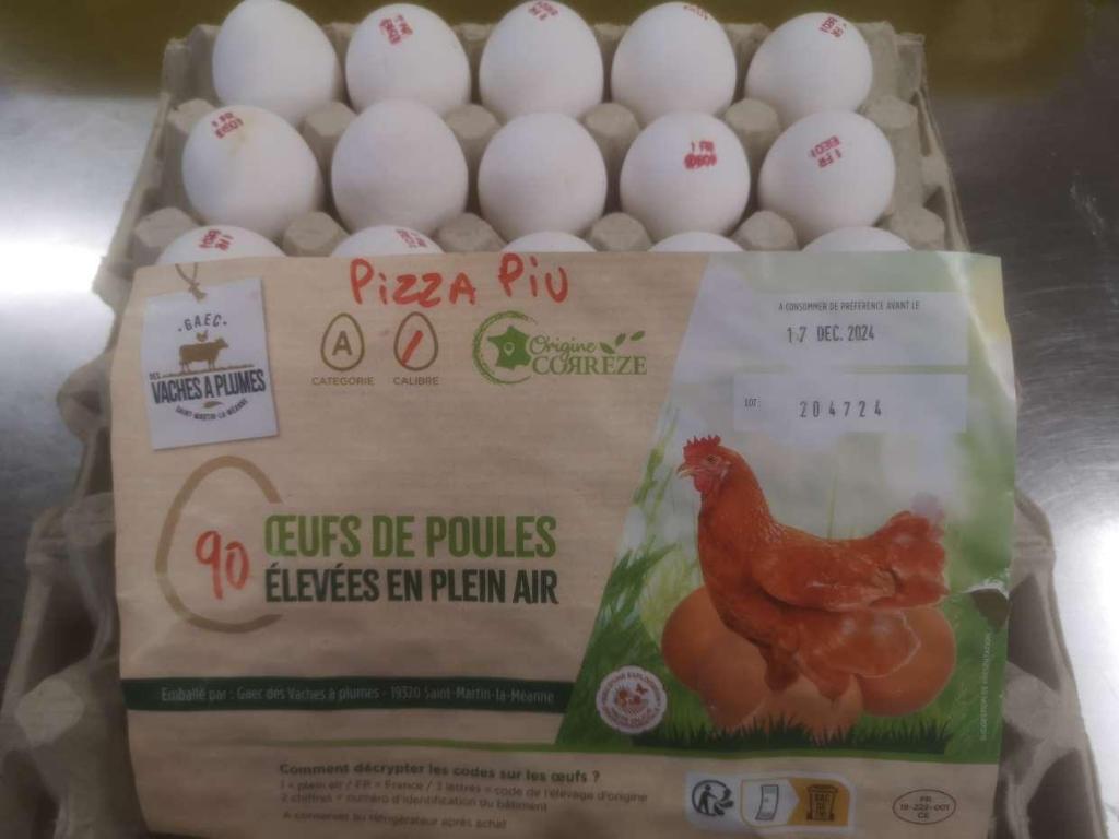 PIZZA PIU