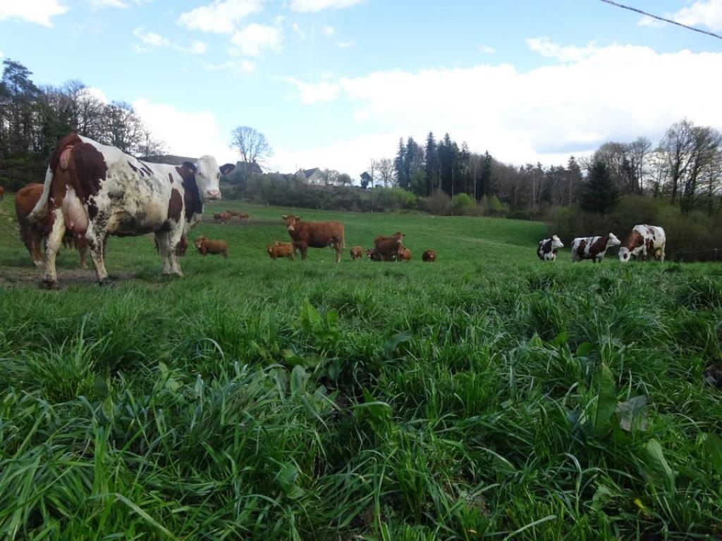 La Ferme de Theillet et la Ferme Auberge de Theillet