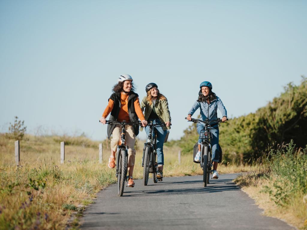 Roue Léo Vert - Location de vélos électriques, Réparation, Vente