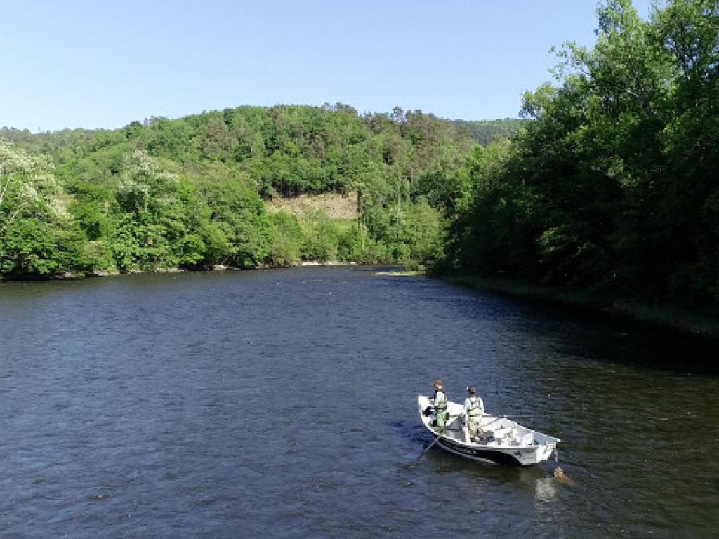 River Wild