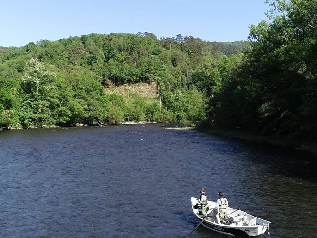 River Wild