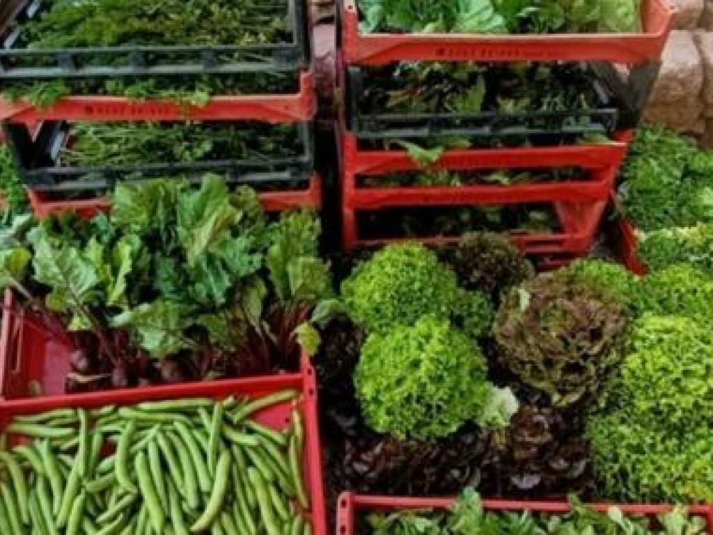 La ferme rouge et vert La ferme rouge et vert