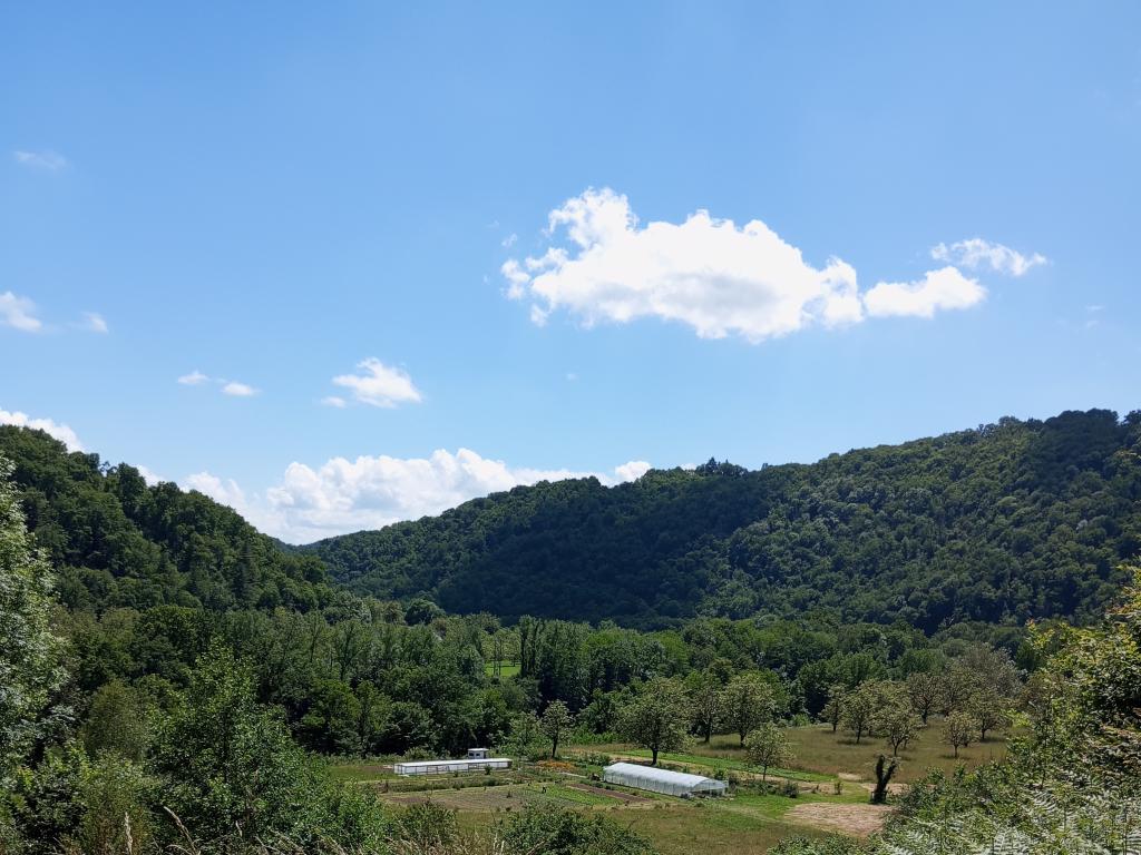 Les lucioles du chambariol