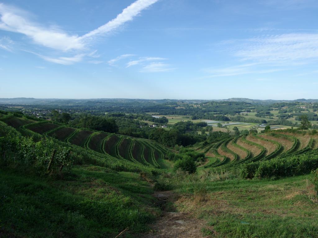 Vignoble des Coteaux de la Vézère