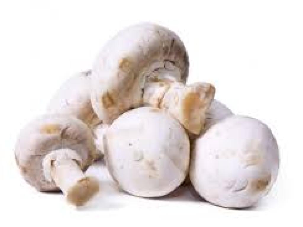 Les champignons de Ladignac