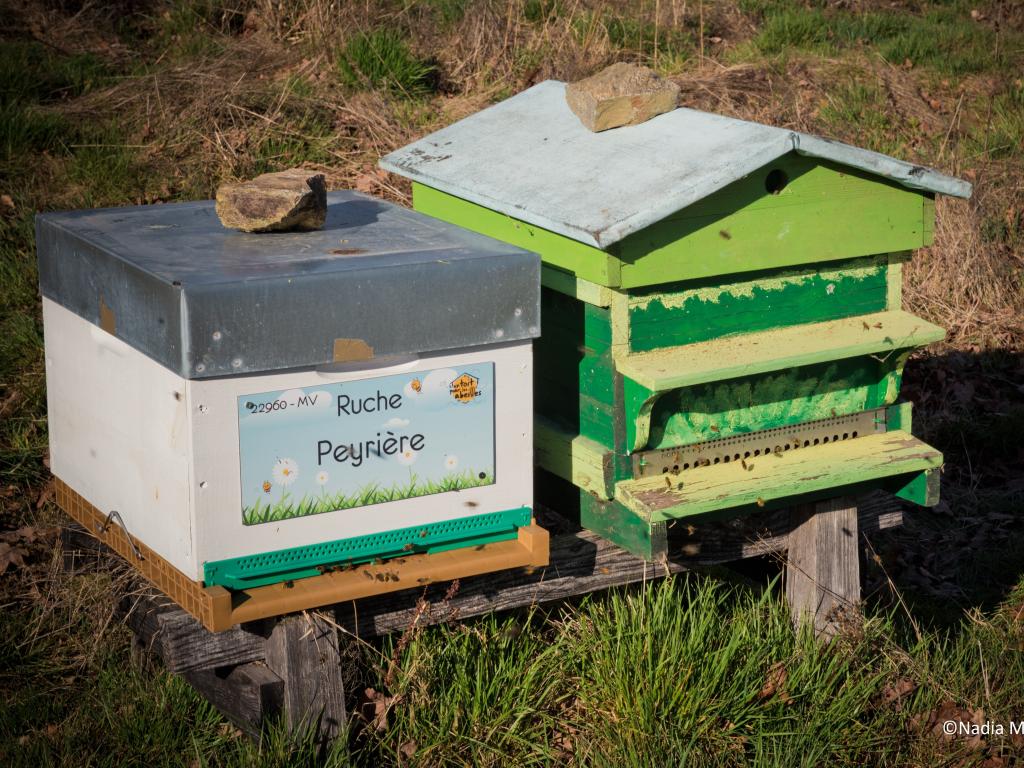 Rucher de Pierrefitte