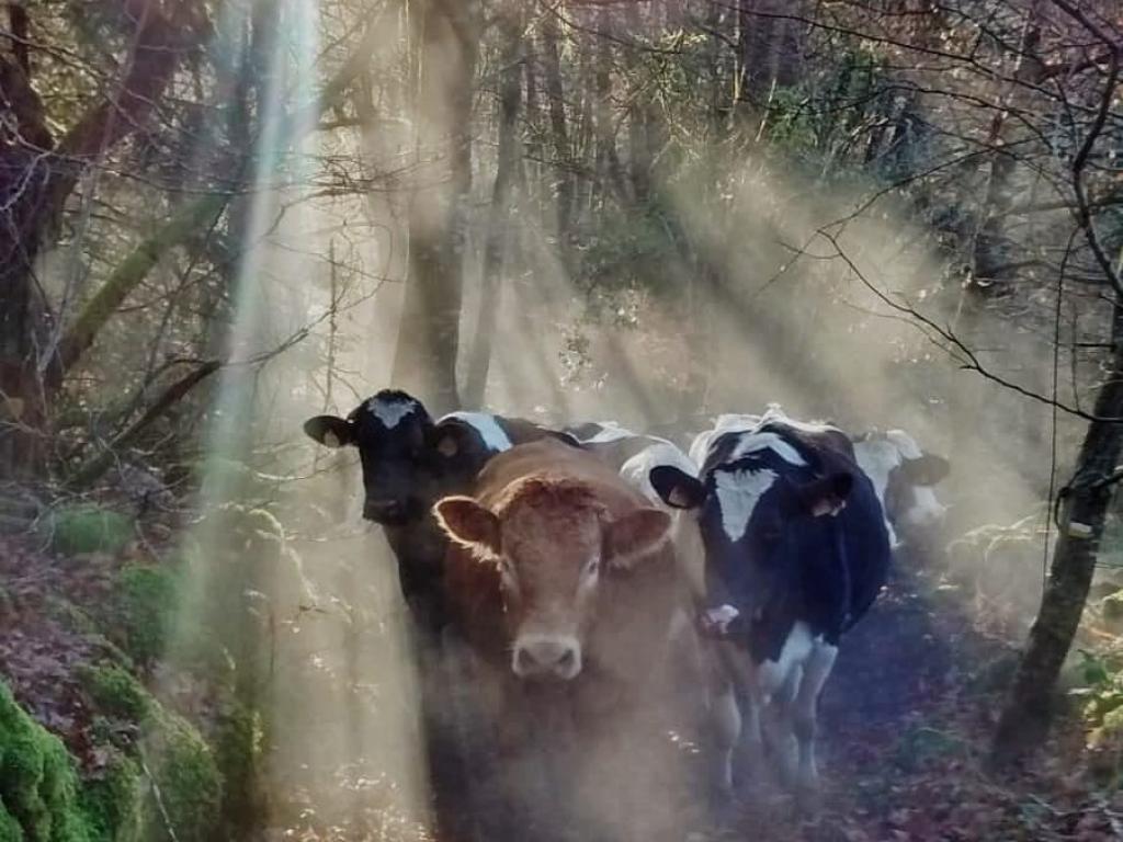 Ferme Fromagère Lou Roc