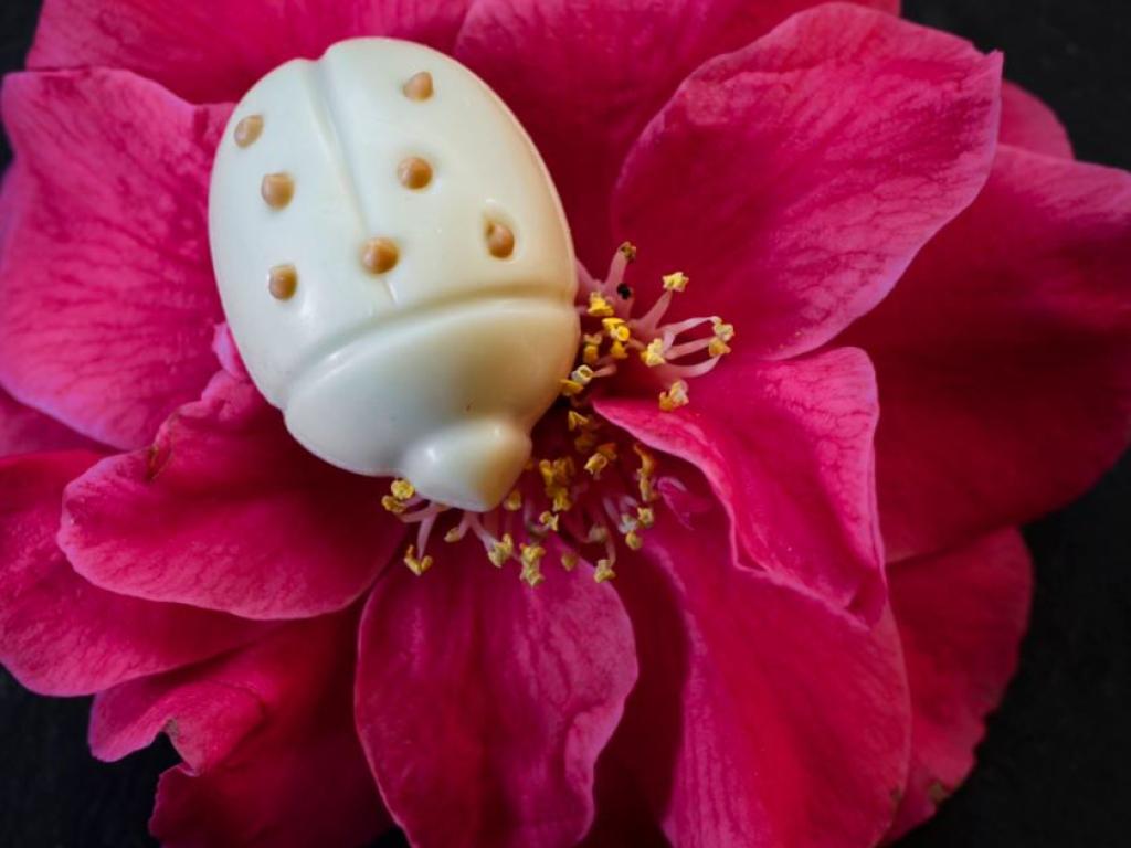 Chocolaterie Vimbelle