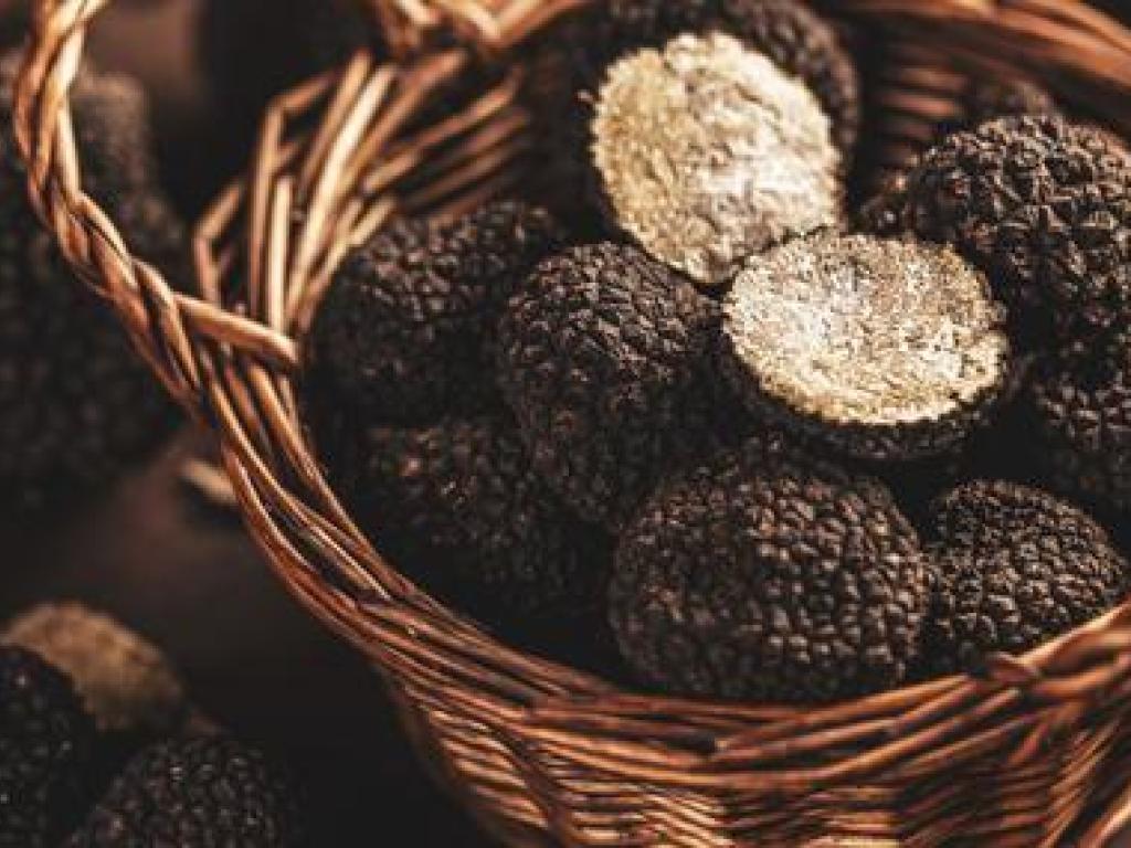 Truffe - Valérie Blondel