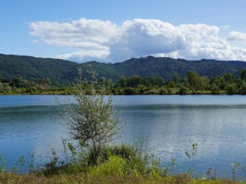 La nature la nuit, réserve départementale de biodiversité