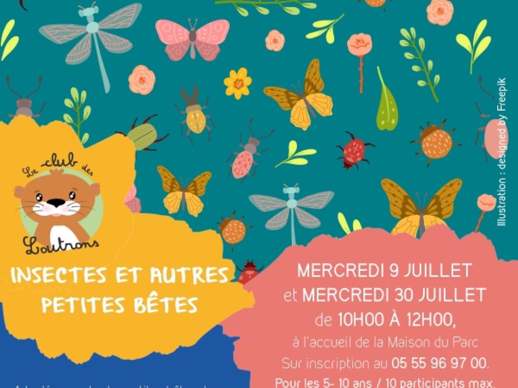 CLUB DES LOUTRONS : Insectes et autres petites bêtes