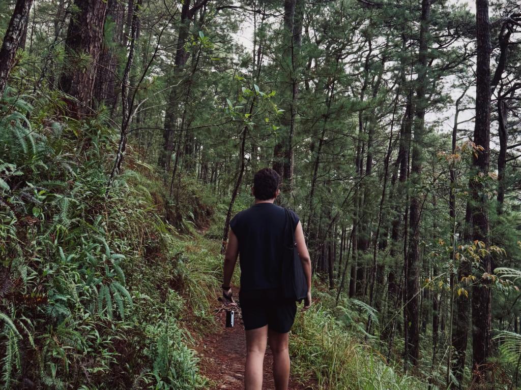 Montée du Doux