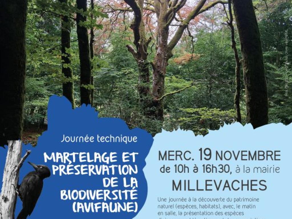 MARTELAGE ET PRÉSERVATION DE LA BIODIVERSITÉ (AVIFAUNE)