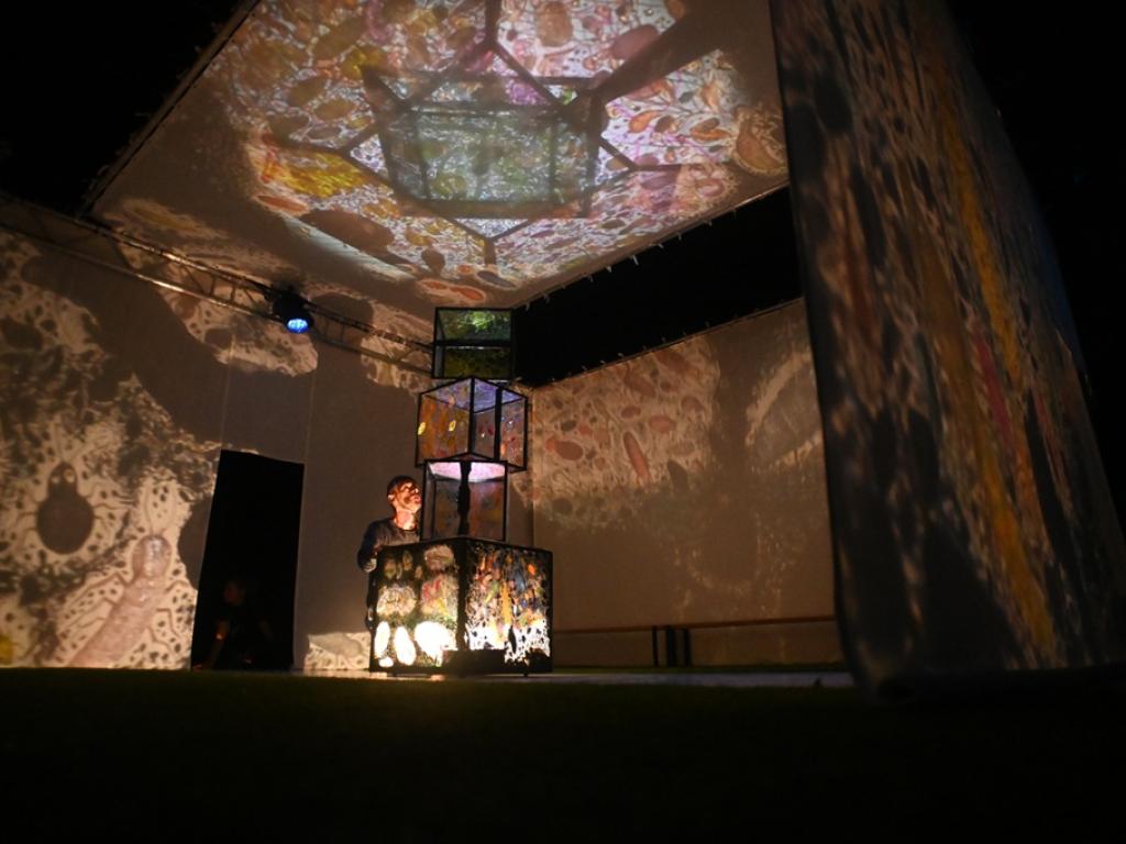 Auditorium Sophie Dessus :  Minimus