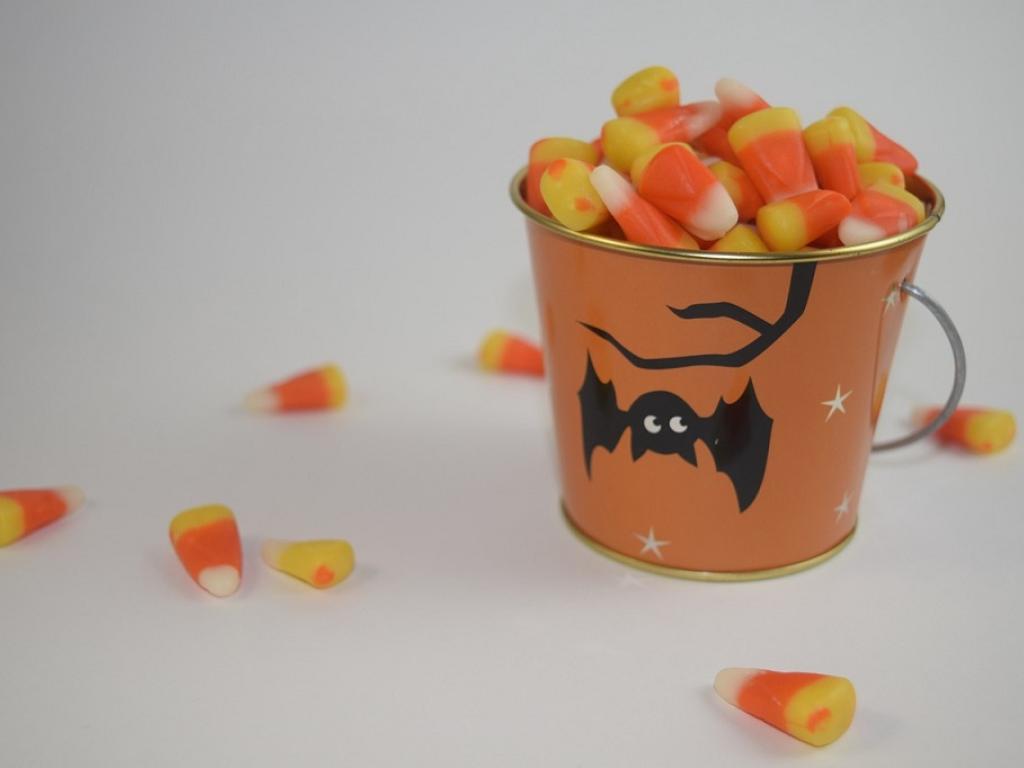 Halloween aux Jardins de Colette: atelier déco de cucurbitacées