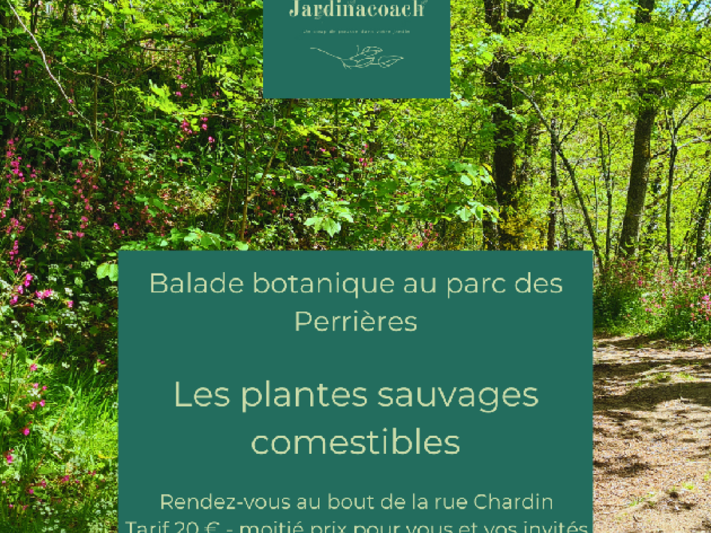 Balade botanique au parc des Perrières