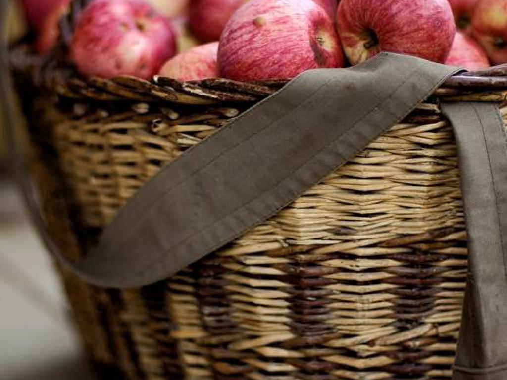Fête de la pomme et du boudin