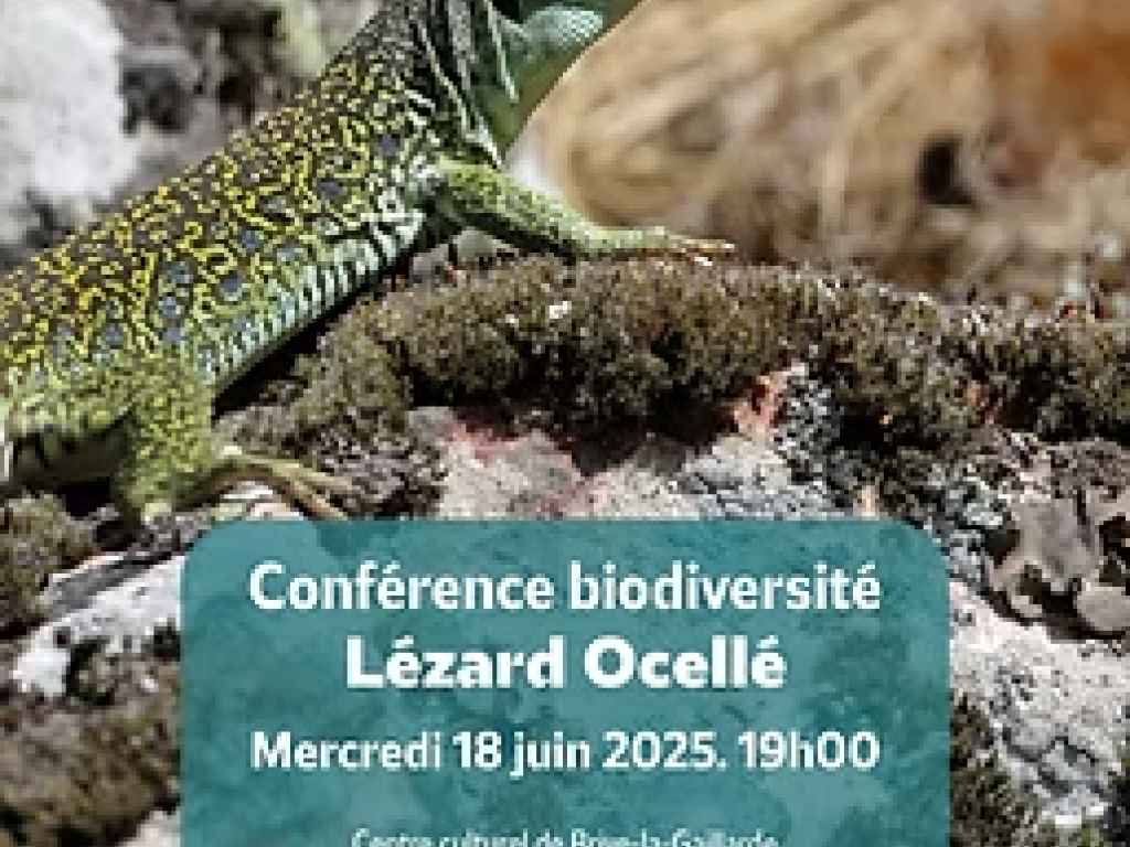 Conférence biodiversité: Lézard Ocellé  (Centre Culturel)