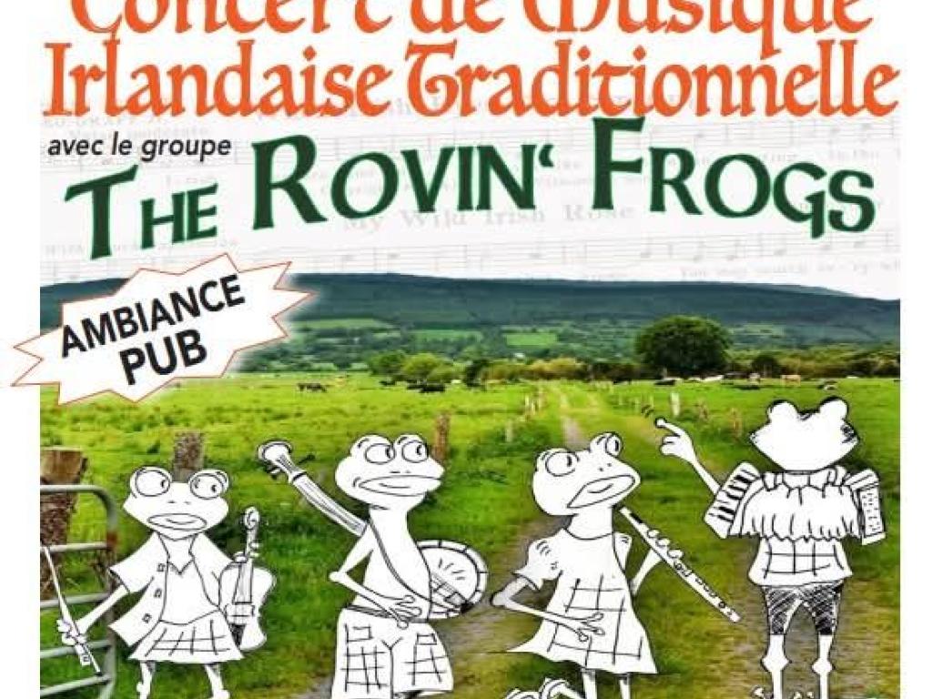 Concert  de musique Irlandaise traditionnelle