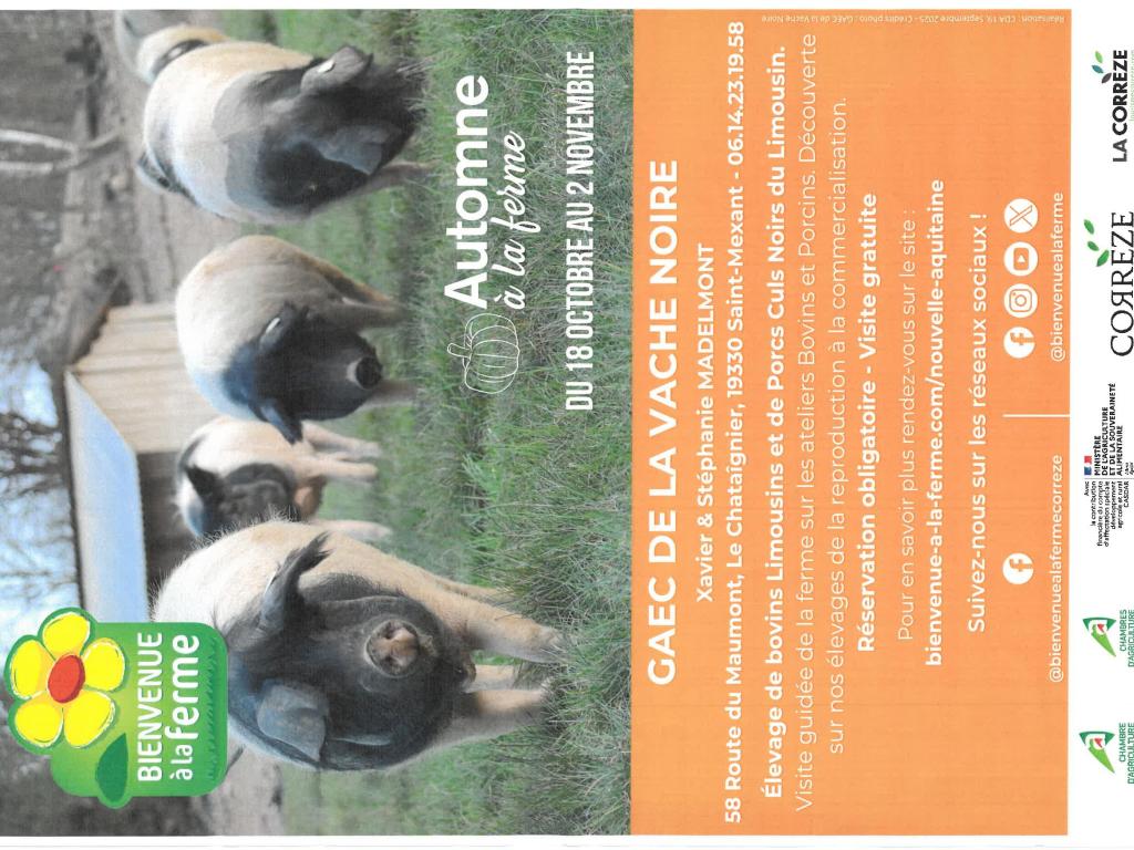 GAEC de La Vache Noire - Automne à la ferme