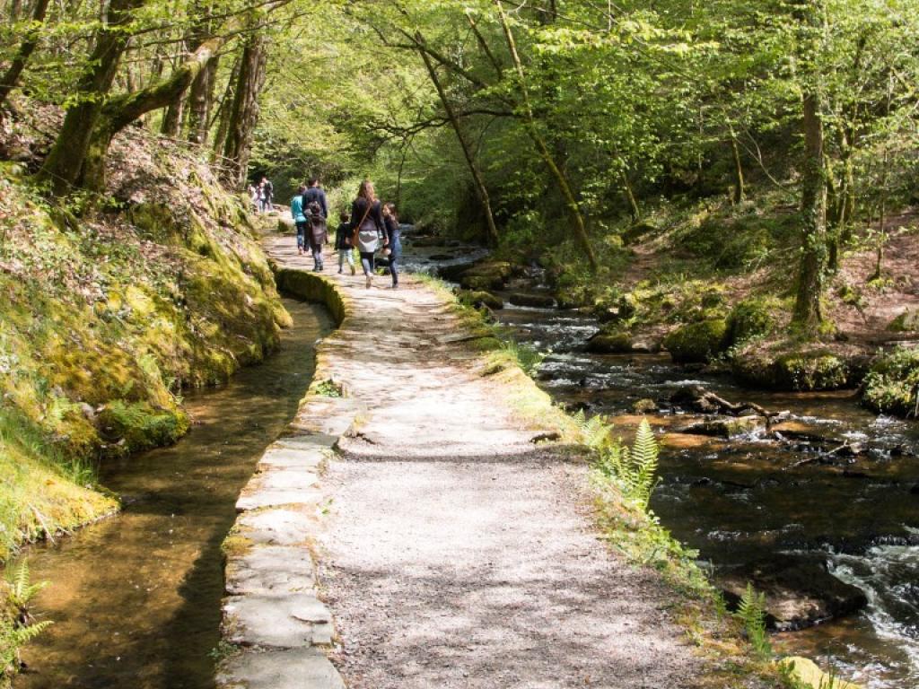 Visite guidée du Canal des Moines