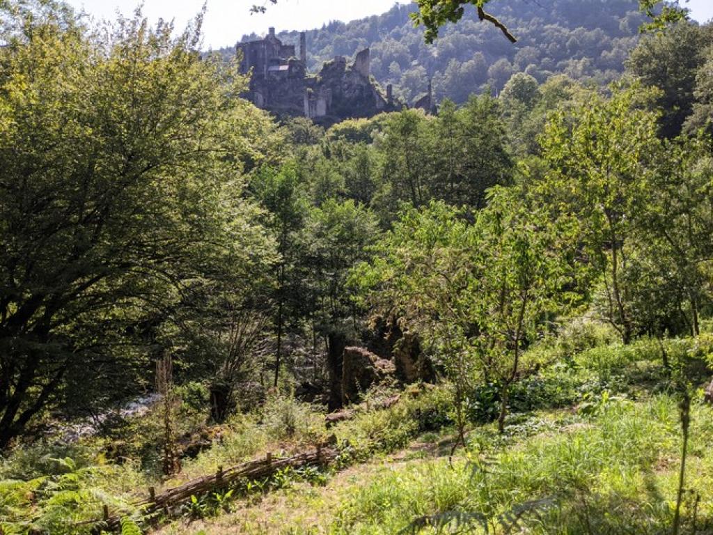 Tours de Merle : visite guidée -  L'homme et la nature au Moyen-âge