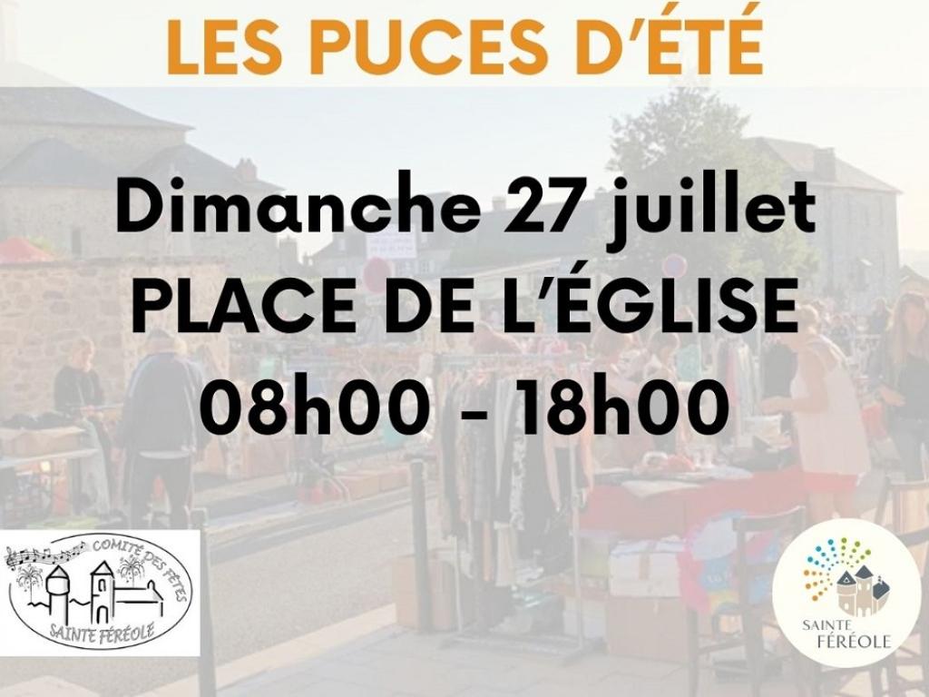 Les puces d'été à Santa Fé