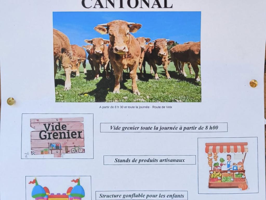 Comice Agricole du canton de Bugeat à Lestards