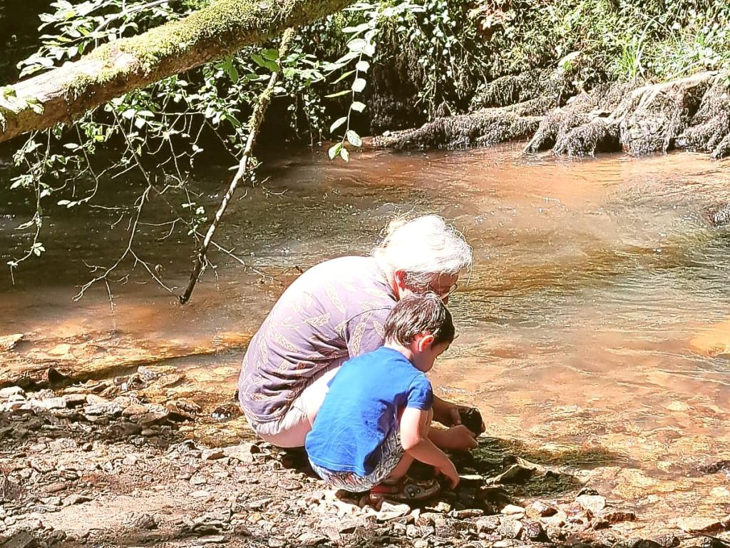 La faune et la flore du vallon de Roquecourbine