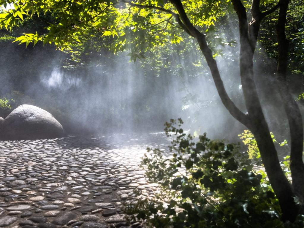 Journées Européennes du Patrimoine aux jardins Sothys