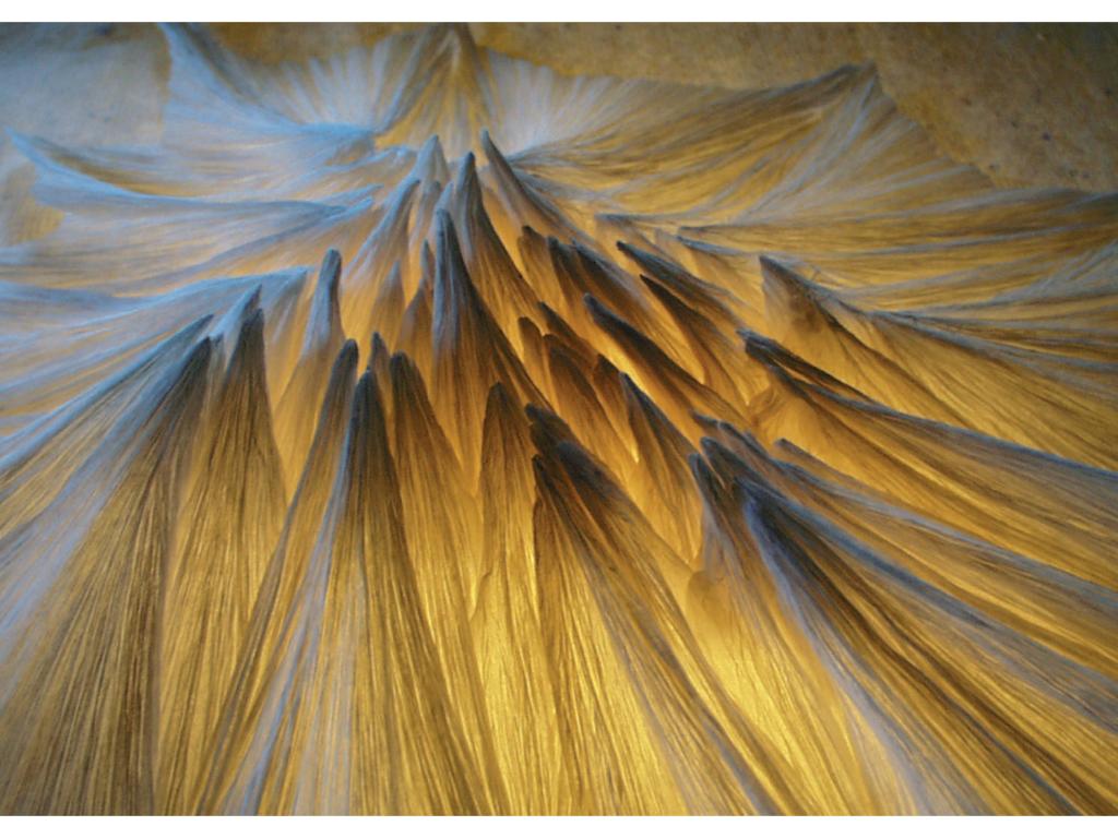 Exposition d'œuvres en papier plié "Expo pliée" proposée par le CRIMP