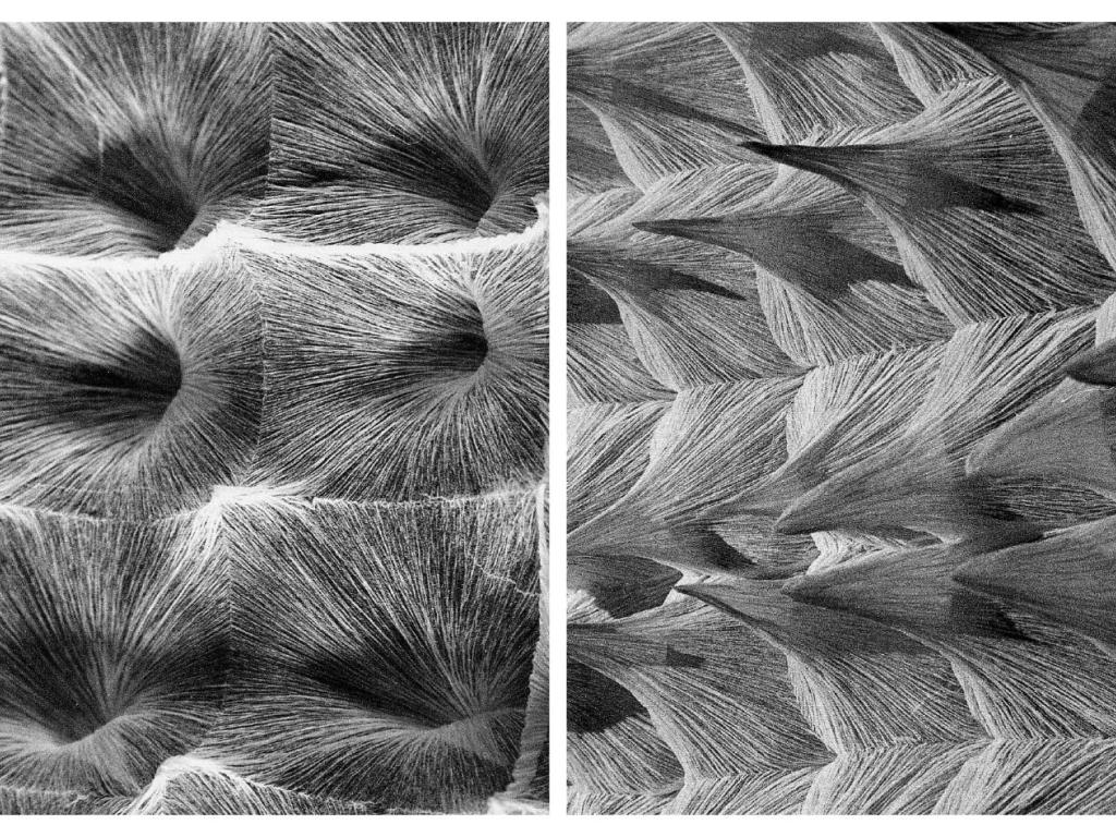 Exposition d'œuvres en papier plié "Expo pliée" proposée par le CRIMP