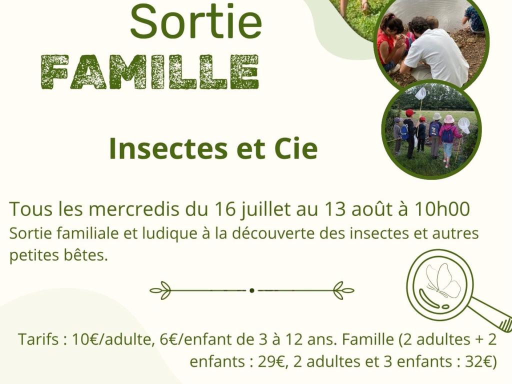 Sortie famille "Insectes et compagnie"