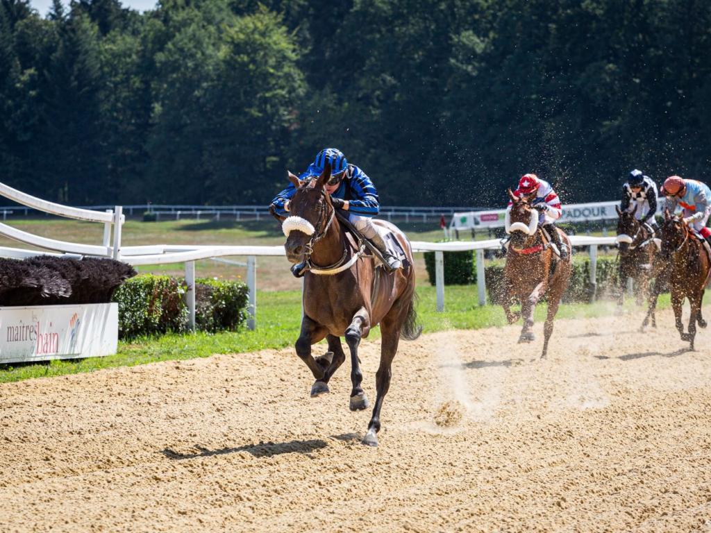 Courses hippiques : journée Race and Care