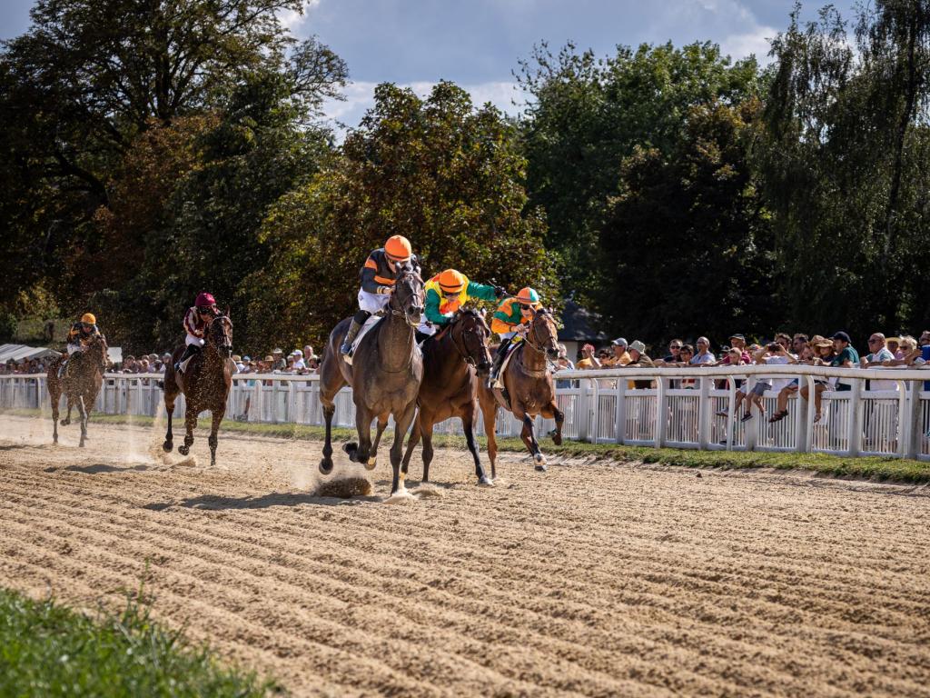 Courses hippiques