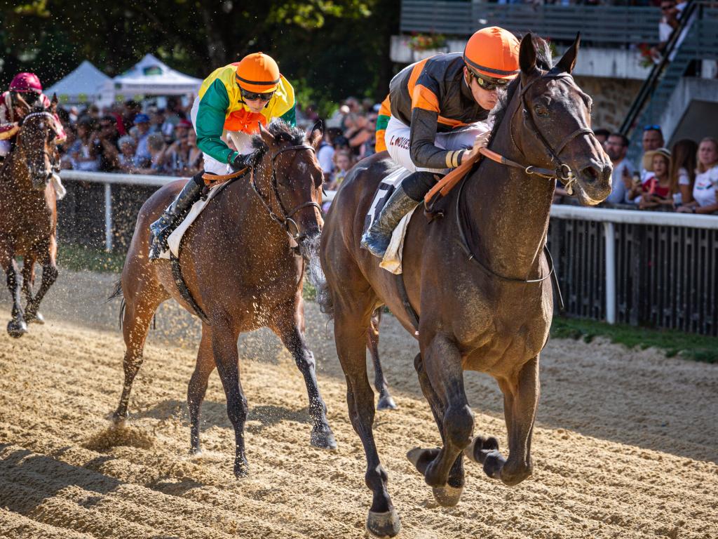 Courses hippiques : auto-galop