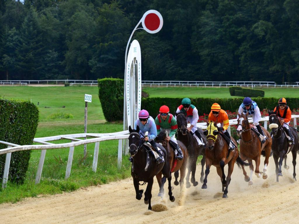 Courses hippiques : tous en blanc